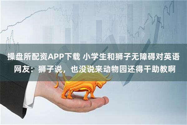 操盘所配资APP下载 小学生和狮子无障碍对英语 网友：狮子说，也没说来动物园还得干助教啊