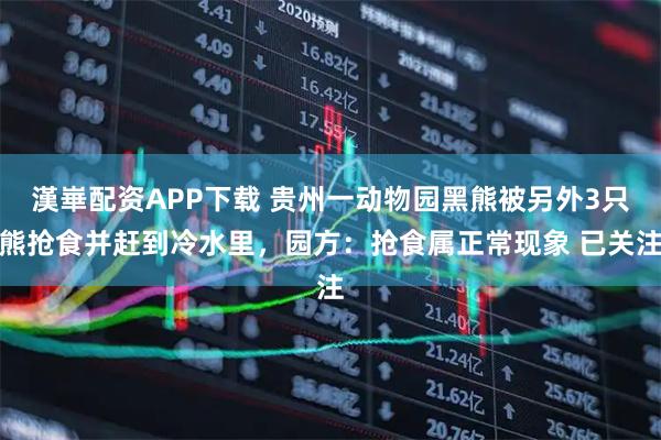 漢崋配资APP下载 贵州一动物园黑熊被另外3只熊抢食并赶到冷水里，园方：抢食属正常现象 已关注