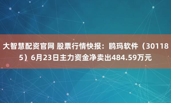 大智慧配资官网 股票行情快报：鸥玛软件（301185）6月23日主力资金净卖出484.59万元