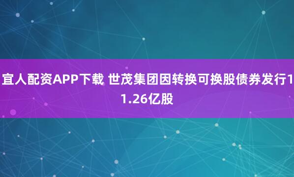 宜人配资APP下载 世茂集团因转换可换股债券发行11.26亿股